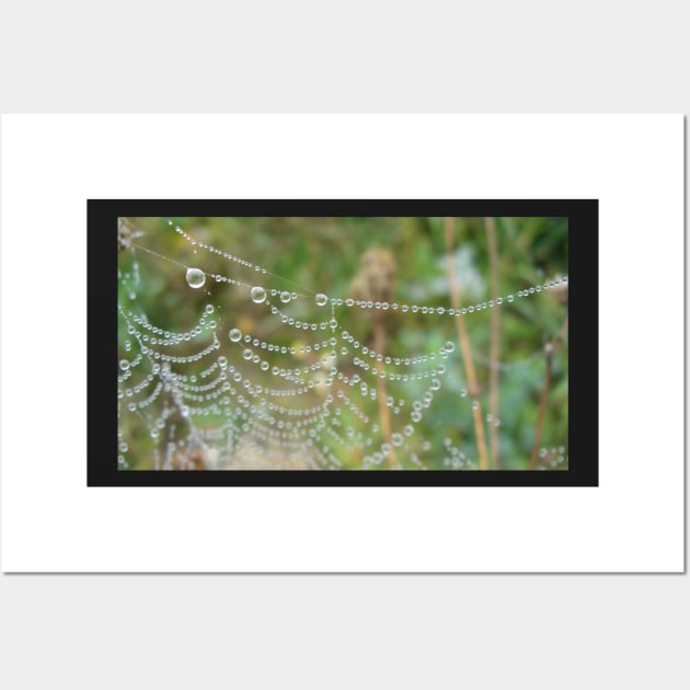 Droplets Web Wall Art by KaSaPo